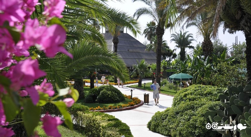 فضای سبز هتل آمارا کلاب مارین